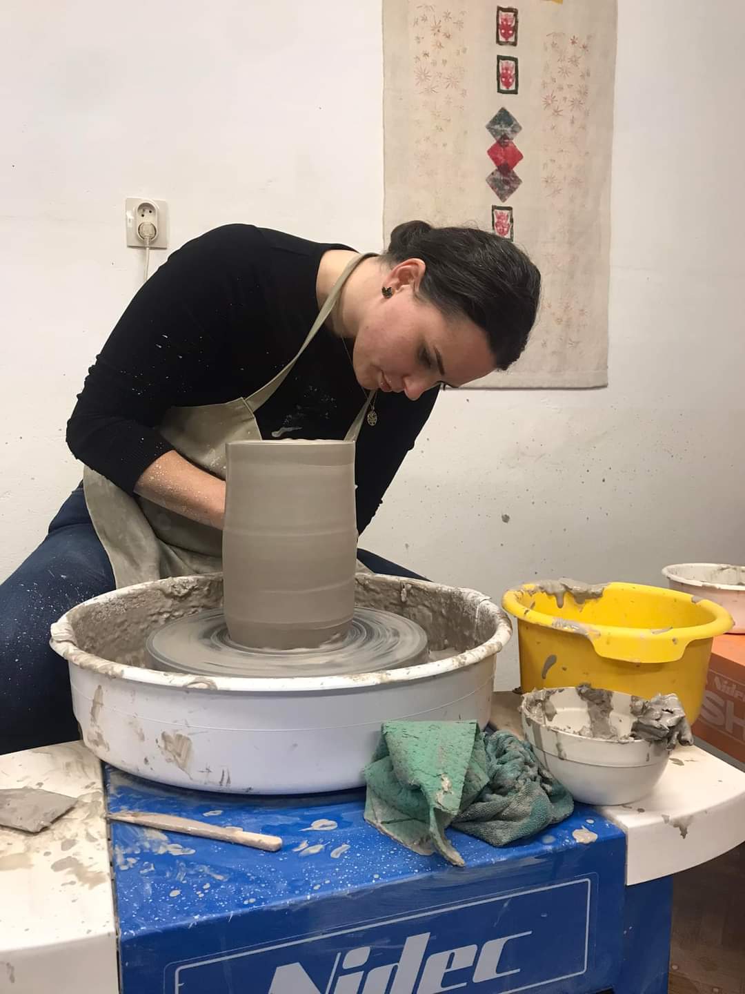 Veronika Minarovjechová